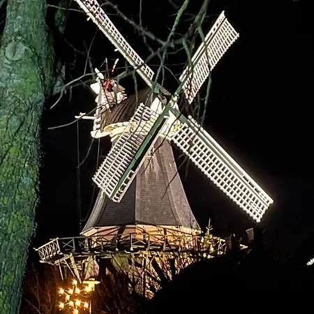 Haus Schwalbennest Og