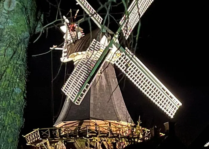 Haus Schwalbennest Og